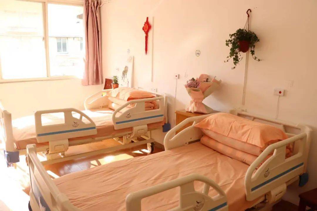 九亭2024年为老服务项目出炉！涉及社区助餐、适老化改造……(图13)