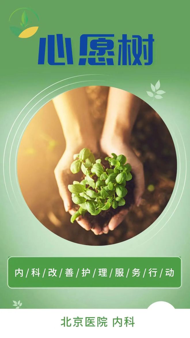 九游会J9网站：北京医院2024年改善护理服务系列行动内科护理团队：播种“心愿树”认真倾听患者心声(图1)