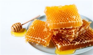 2024年养老护理行业现状及重点企业的经营情况(图4)