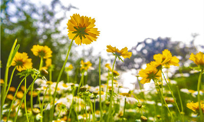 阿尔茨海默病患者究竟咋照护(图1)