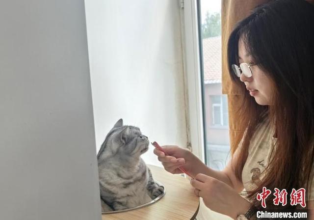 打工新鲜事儿｜儿童陪伴、上门喂猫……家政服务“上新”从业者如何应对？(图1)