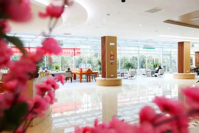 医养融合孝亲敬老——凤凰怡康用爱与专业守护每一位老人的幸福晚年(图2)