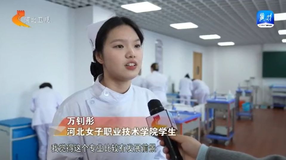擦亮“河北福嫂”劳务品牌“金名片”(图4)