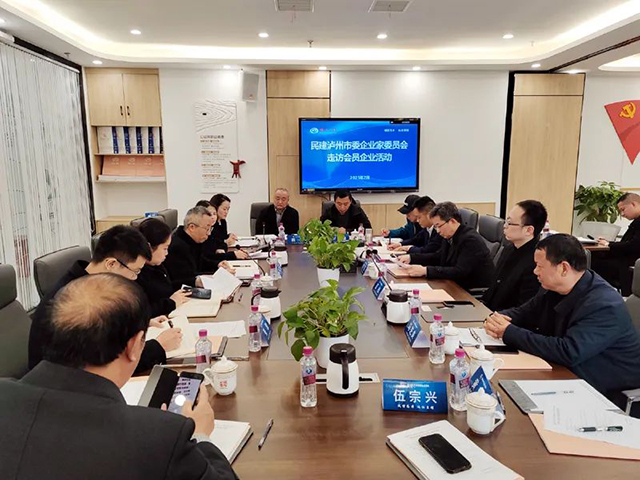 民建泸州市委会开展2025年首次“大走访、大调研”活动(图7)