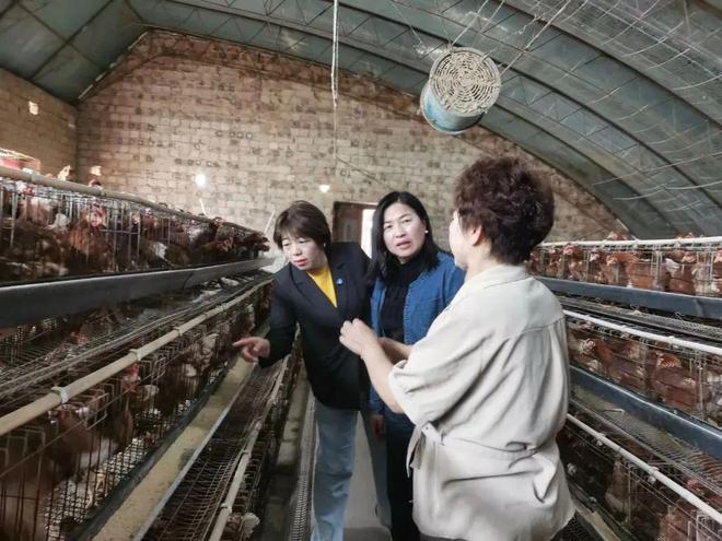 青城巾帼·她力量丨赛罕区妇联：“技能培训+巾帼家政进社区+庭院经济”三驾马车拉动妇女就业创业(图3)