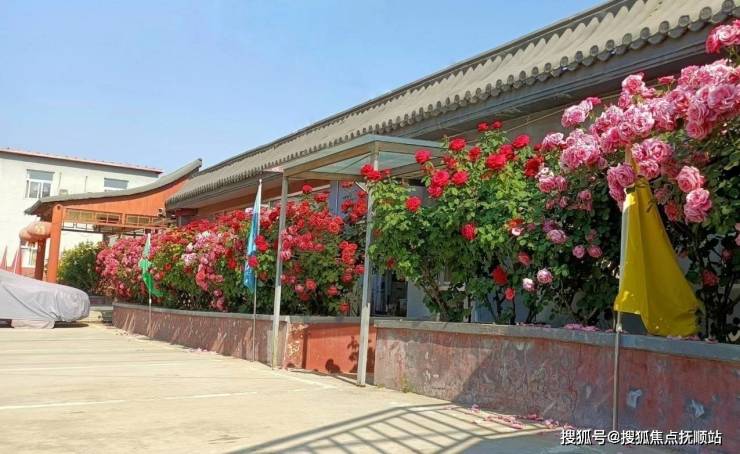 2025必看收藏昌平鸥情老年颐养院收费标准地址信息电话咨询一键获取(图2)