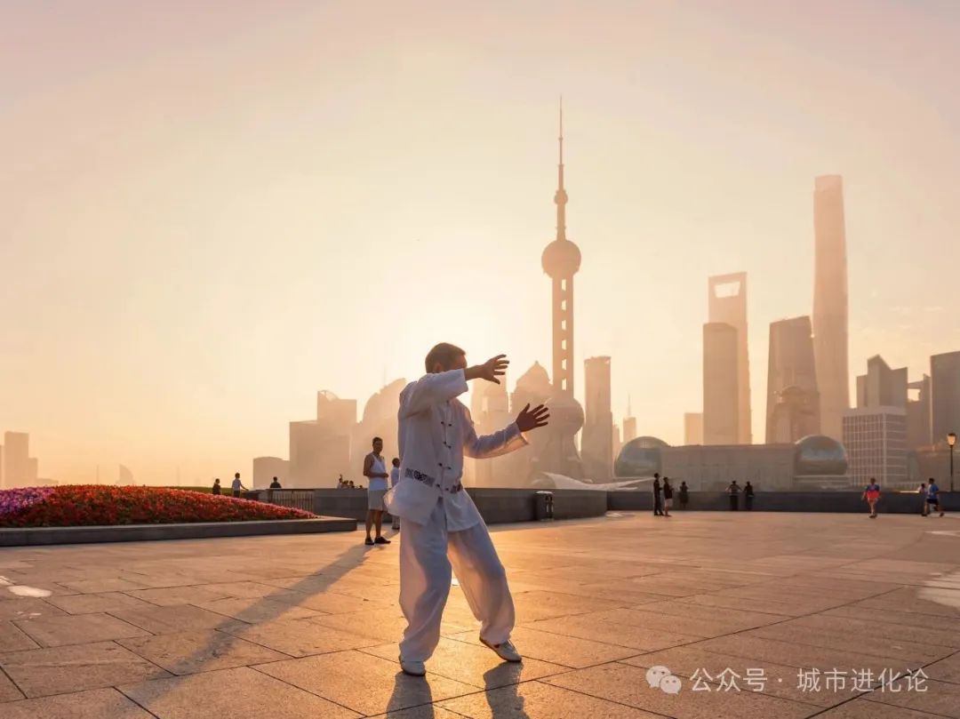 比全国早老21年这座超大城市准备好了吗？(图10)