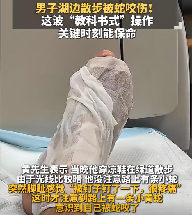 九游会J9平台：广东男子散步被毒蛇咬伤淡定拍照去医院网友：三亚女孩死真冤(图4)