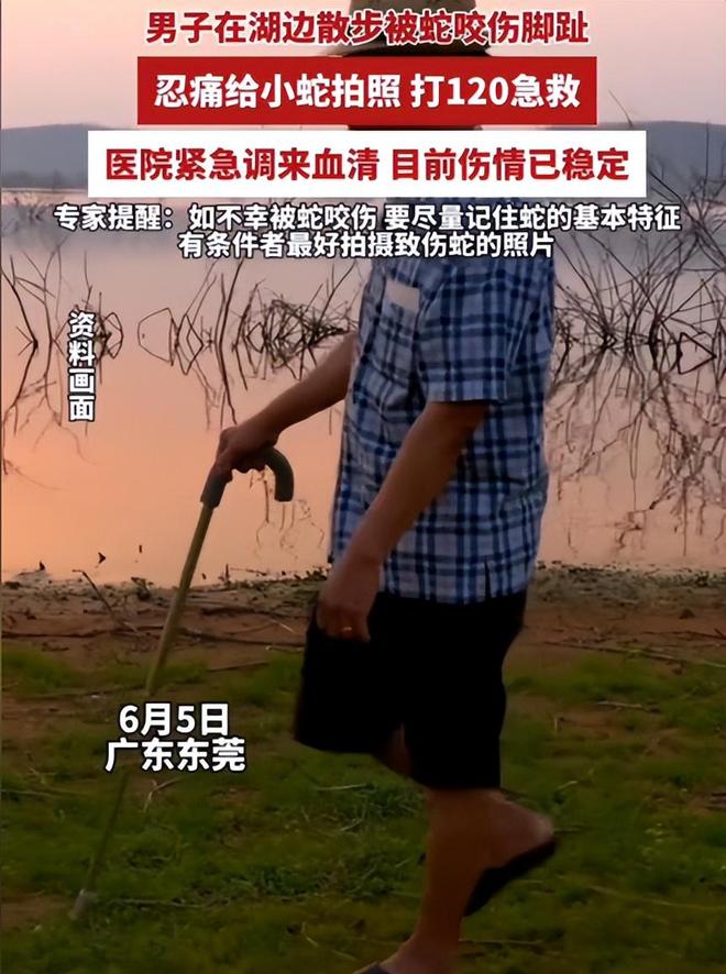 九游会J9平台：广东男子散步被毒蛇咬伤淡定拍照去医院网友：三亚女孩死真冤(图5)