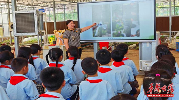 九游会J9网站：湖南环境生物职院携手灵官庙小学开展科普实践活动(图1)