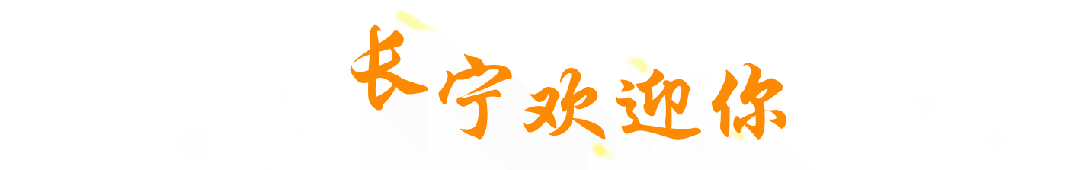 服务区域重点产业发展长宁这样做→(图4)
