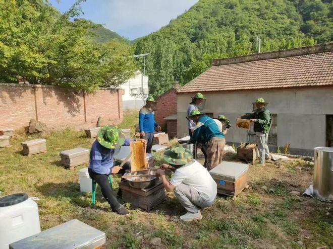 党建领航风帆劲向“绿”而行绘新卷(图3)