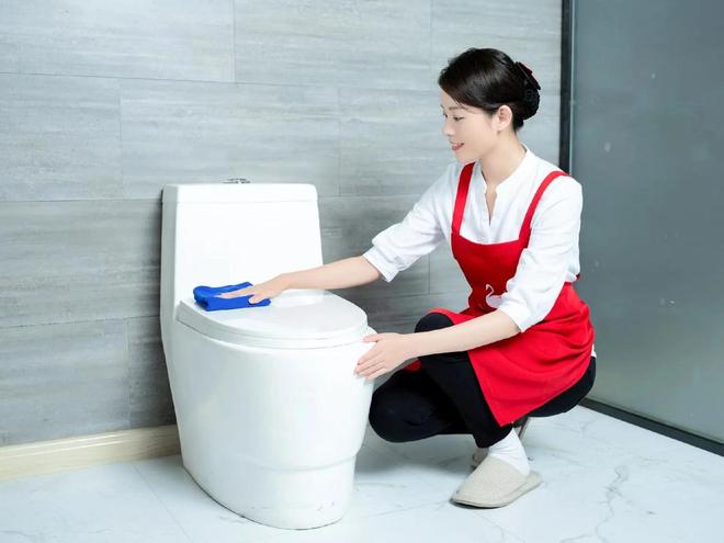 家政保姆公司十大：新手选靠谱服务必看(图1)