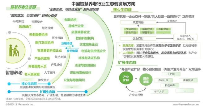 中国智慧养老行业研究报告(图10)