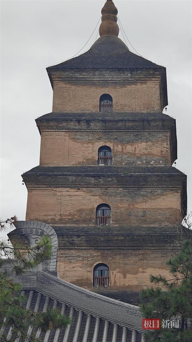 西安连续一个多月降雨遍地长蘑菇大雁塔受潮城墙布满青苔气象局解释成因(图3)