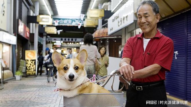 中老年人是完美主人？东京研究：养宠物的老年人护理费省一半！(图1)