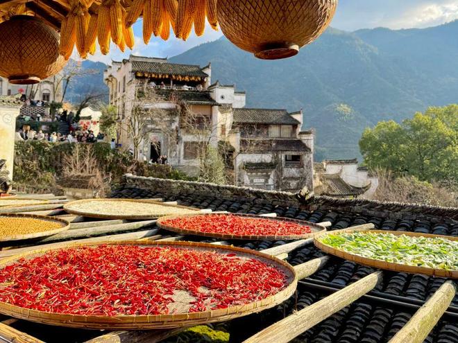 江西中老年5天4晚跟团旅游慢游庐山鄱阳湖舒适纯玩无强制消费(图2)