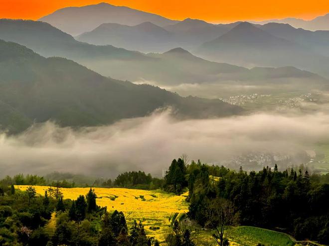 江西中老年5天4晚跟团旅游慢游庐山鄱阳湖舒适纯玩无强制消费(图4)