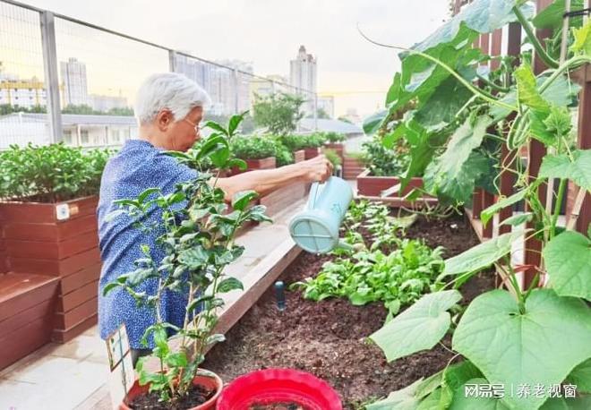 2026榕悦颐养院越秀区老年护理+终身康养310张床位高性价比(图2)