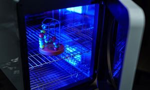 2022中国养老护理行业市场发展现状分析(图7)